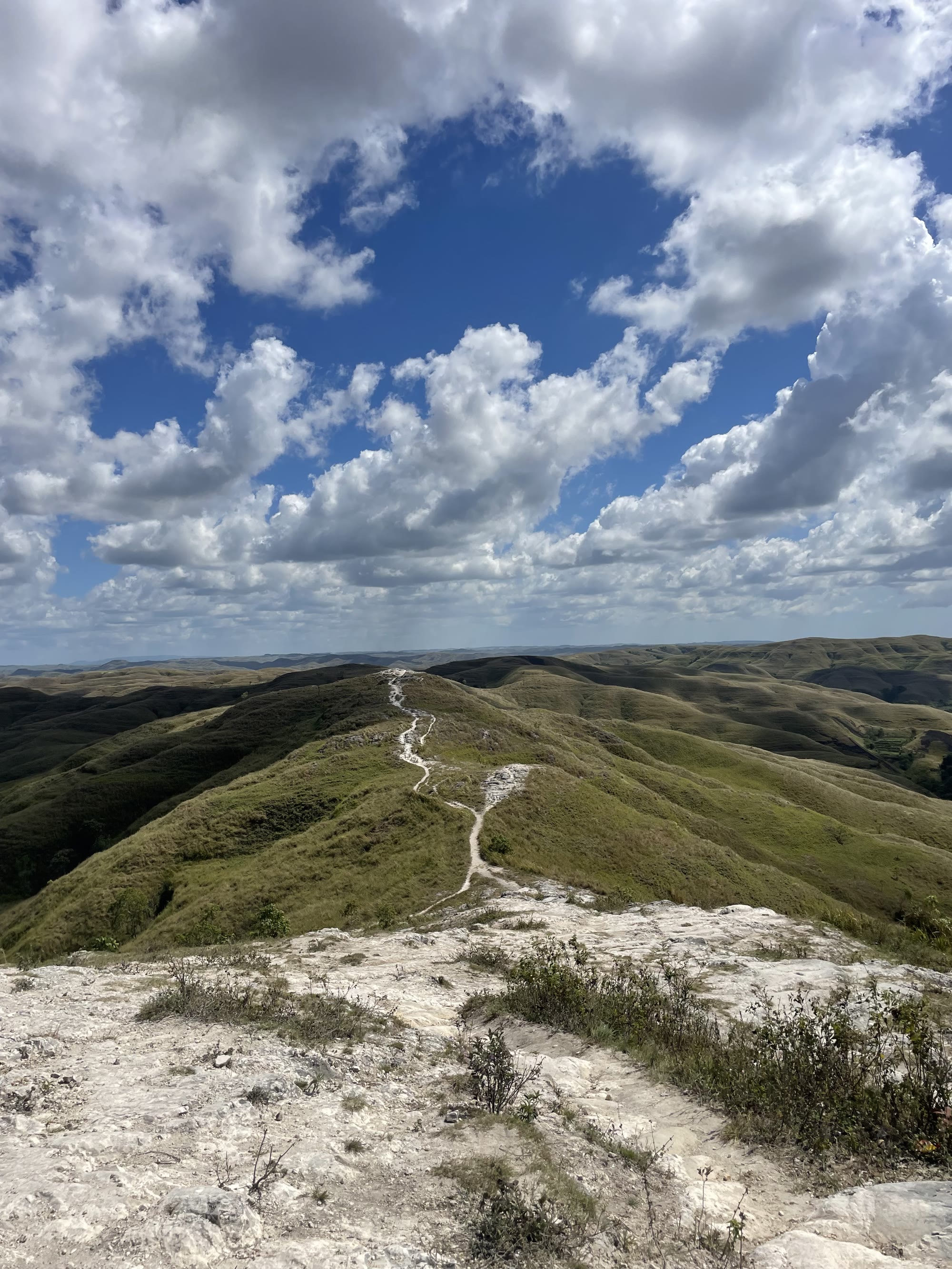 Chalk path winding along Wairinding Hill's green ridgeline